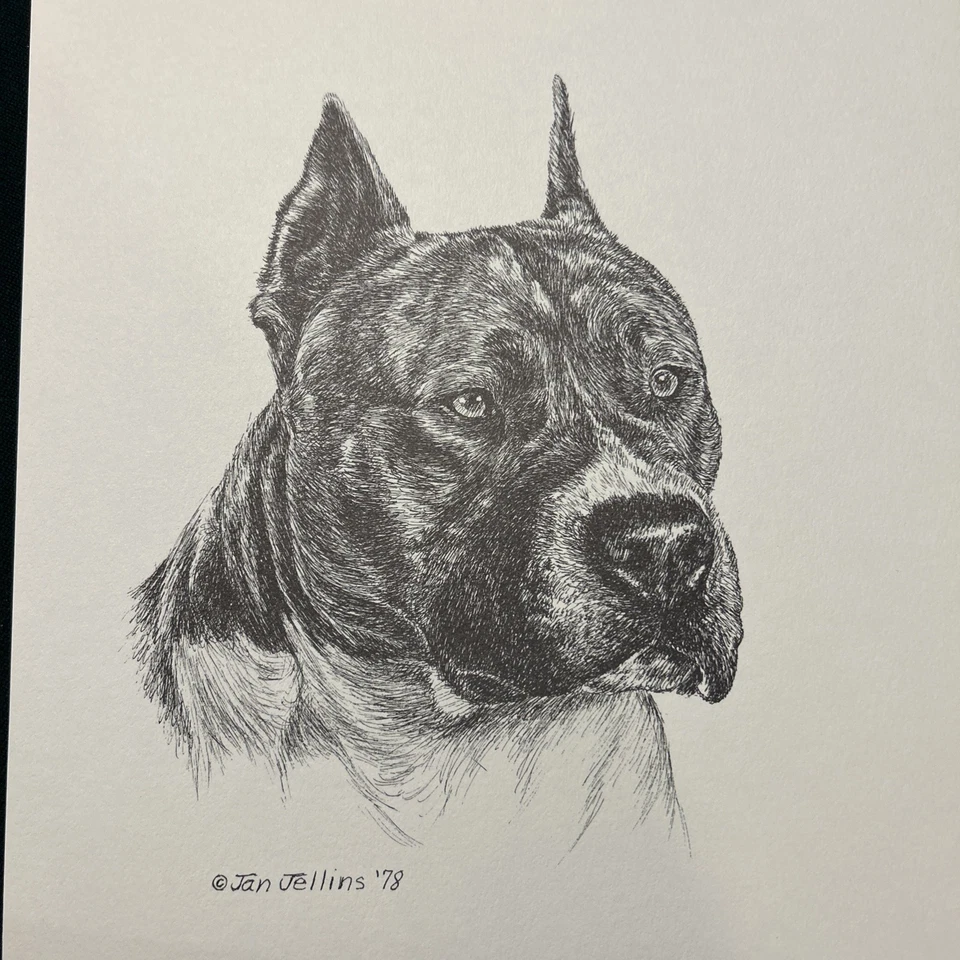 Pit Bull Terrier impresión vintage de Jan Jellins 8 X10 Foto 1 de 1