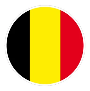 6 x Autocollant 5cm rond drapeau BELGIQUE sticker valise PC vélo voiture - Picture 1 of 1