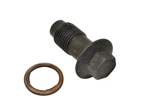 01 Yamaha V-Star 650 XVS XVS650 Cylinder Head Oil Pipe Union Banjo Bolt & Washer - Picture 1 of 4