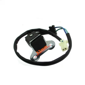 Ignition Pick Up Trigger Pulse Coil For CH250 CF250 CN250 GY6 250 172MM-033000 - Bild 1 von 6