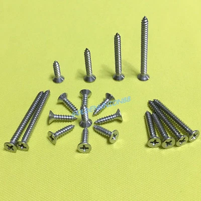 Tornillo autorroscante M3.9 X16/25/35/45 mm SUS 304 cabeza avellanada empotrada en cruz Foto 1 de 3