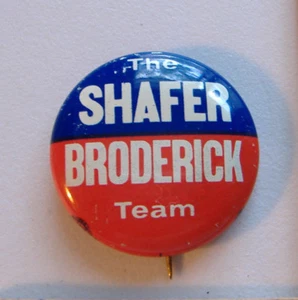 THE SHAFER BRODERICK TEAM ~ BADGE PIN - Foto 1 di 6