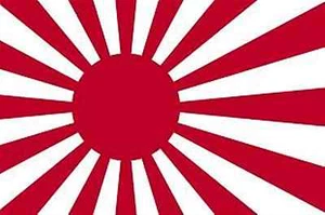 JAPAN RISING SUN WW2 naval NATIONAL FLAGS japanese - Picture 1 of 1