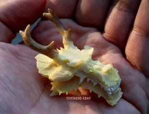 Dragon skull model Skeleton Fish tank reptile pet Landscaping Gypsum - Picture 1 of 2