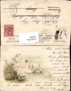 553076,Tiere Schwan Lithographie 1902 Litho - Picture 1 of 1