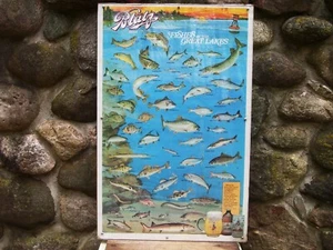 1987 BLATZ BEER FRAMED POSTER ~ FISHES OF THE GREAT LAKES ~  READY TO DISPLAY - Picture 1 of 20