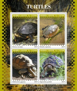 Sierra Leone 2019 MNH Turtles Stamps Reptiles Aldabra Giant Tortoises 4v M/S - Picture 1 of 1