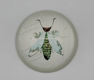 Paperweight 3" Dome Resin Bee Beetle Wasp Insect Modern Art Retro CBK Ganz NEW - Picture 1 of 13