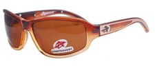 Anarchy Sunglasses Controvert Brown Fade Polarized (new