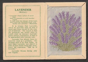Kensitas Wix cigarettes Medium silk flower 1st series LAVENDER cover A - Picture 1 of 2