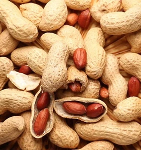 Organic Whole Monkeynuts Groundnuts Peanuts Roasted Fit For Human Consumption - Picture 1 of 1