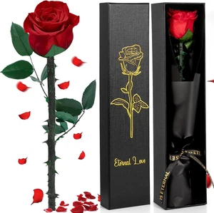 Rosa Stabilizzata Vera Rosa Eterna San Valentino per Lei, Regali San Valentino p - Foto 1 di 12