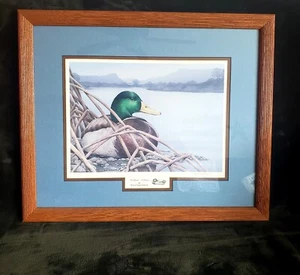 Limited Edition Signed Sherrie Russell Meline "Solitaire" Mallard Print FRAMED - Picture 1 of 10