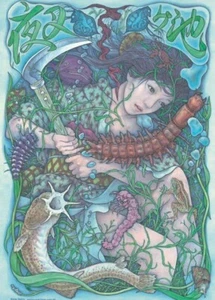 Makoto Aida Rare Poster Yasha Pond 2004 20.5 inches × 28.7 inches Art Interior - Picture 1 of 8