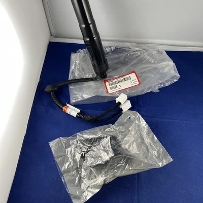 Puntal/amortiguador eléctrico para puerta trasera Honda Pilot Driver 2023-2025 74961-T90-305 nuevo abierto Foto 1 de 4