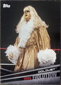 Topps WWE Evolution Trading Card - E-17 Goldust - Picture 1 of 2