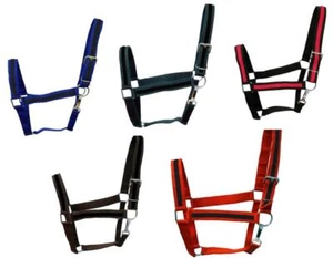 Soporte de nailon premium a rayas negras DRAFT XL caballo 5 colores - JUEGO de 5 o 1 - Imagen 1 de 7