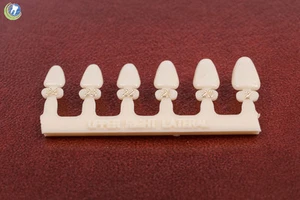 #7 Upper Right Lateral Anterior (URL) Polycarbonate Crowns Caps Refills 6 Sizes - Picture 1 of 5
