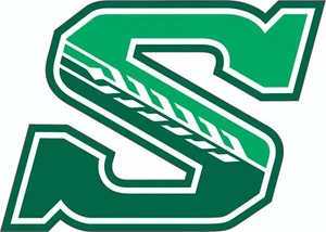 Sask Rider Nation Inspired Full Size Football Helmet Decals - Picture 1 of 3