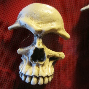 Magnets Made in USA Skull Tool Box Refrigerator Magnet snap on Punk Goth 3M - Picture 1 of 6