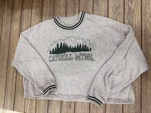 American Eagle Catskill Mtns. Sweatshirt Sz Small Gray & Green - Picture 1 of 4