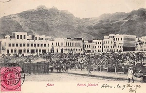 Yemen - ADEN - Camel market - Publ. unknown - Picture 1 of 2