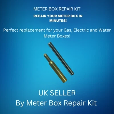 DAUNTLESS SOLUTIONS GAS/ELECTRIC METER BOX REPAIR / SPARES - SET OF METER DOOR HINGES