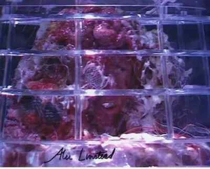 Doctor Who Autograph: ALEC LINSTEAD (Revelation of the Daleks) Signed Photo - Picture 1 of 1
