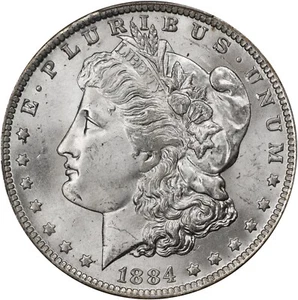 Dólar de plata Morgan 1884-O graduación profesional MS-64 - Imagen 1 de 3