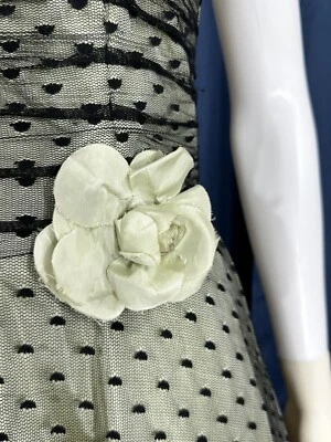 "Vestido Cupcake Scott McClintock 4 puntos encaje negro tul superposición verde 26"" cintura" Foto 1 de 4