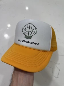 HIDDEN NY X NERD TRUCKER SNAPBACK HAT N.E.R.D Pharrell Skateboard Hidden Front - Picture 1 of 2