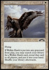 Welkin Hawk X4 (Exodus) MTG (NM) *CCGHouse* Magic