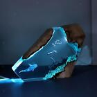 Epoxy Resin Desk Lamp Night Light Nightlight Decorative Divers Whale and