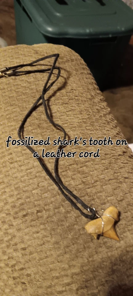 Colgante de diente de tiburón real en collar con cordón de cuero fósil de surfista para hombres mujeres Foto 1 de 1