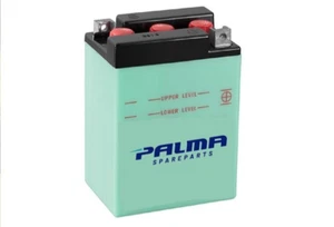 BATTERIA MOTO B386ASM 13Ah 90A 6V DIMENSIONI 11,8×8,2×16 cm - Foto 1 di 4
