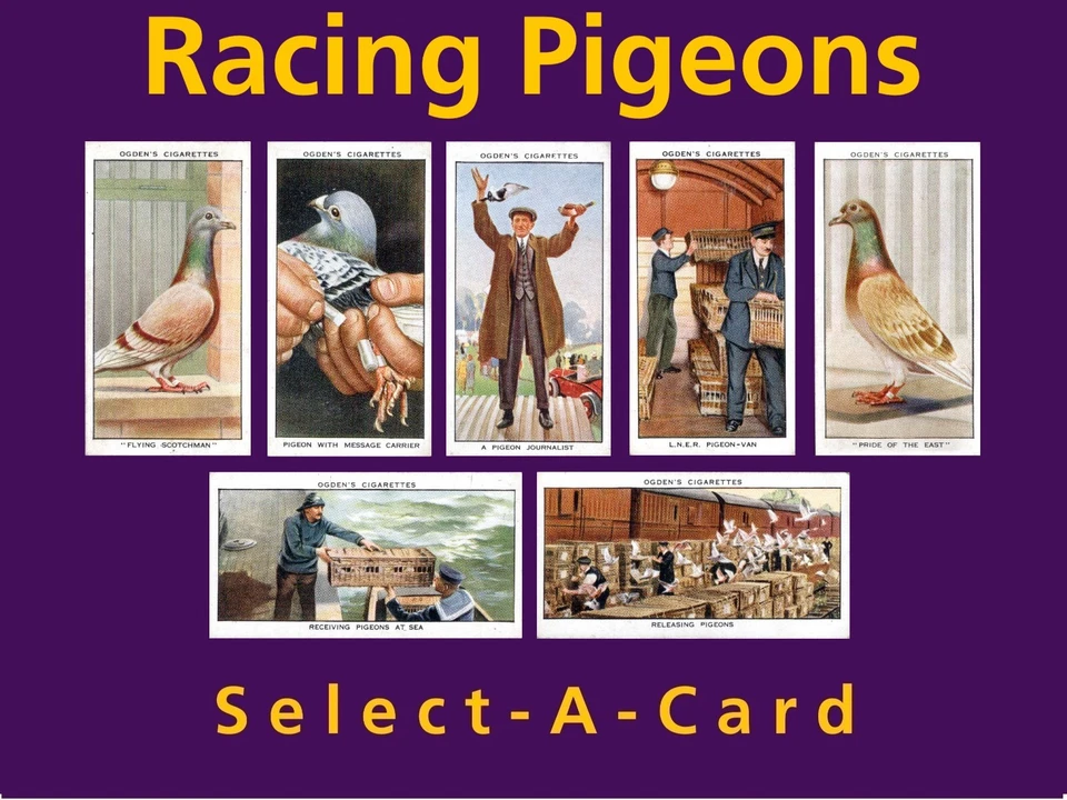 Ogden's RACING PIGEONS- Select - A - Card - Image 1 of 1