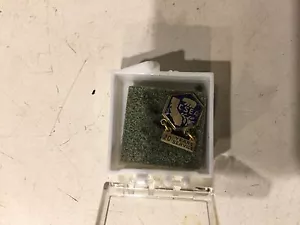 Vintage California 20 Jahre Pin Medaille CSEA - Bild 1 von 1