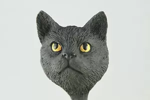 CABEZA DE GATO ATIGRADA PELO CORTO NEGRO VER MÁS RAZAS CUERPOS @ TIENDA EBAY - Imagen 1 de 3