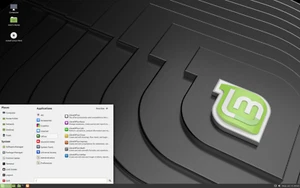 Linux Mint Cinnamon Edition 22 Pre-Installed on bootable 4gb USB stick - Picture 1 of 11