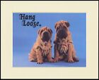 SHAR PEI  PUPPIES CHARMING DOG PRINT MOUNTED READY TO FRAME