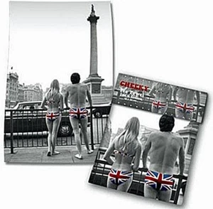 Descarado Brits 100% Paño de Algodón ( Ti) - Picture 1 of 1