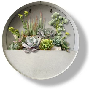 NEW! Modern Home Living Wall Zinc Succulent Planter - Wall Mounted Garden Art - Picture 1 of 24