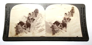 Will Campbell Allenkaket River Alaska Sled Dogs Keystone View Company CA2 - Picture 1 of 6