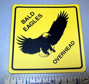 Neu/unbenutzt Weißkopfseeadler Overhead, Crossing Style 3,25 x 3,25 Zoll Kühlschrankmagnet - Bild 1 von 1