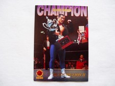 Insert Keiichi Yamada Jushin Thunder Liger Bandai 2000Japan Pro Wrestling Card 2
