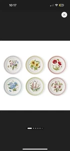 12 Piece Botanic Garden Susan Williams Ellis Portmeirion 10.5" Dinner Plate Set - Picture 1 of 12