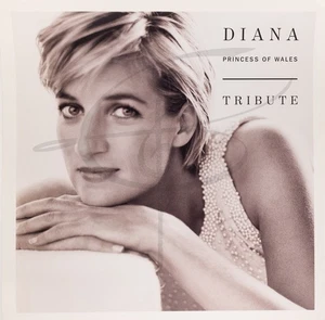 DIANA PRINCESS OF WALES TRIBUTE Album Cover Promo 12x12 Flat Double Sided Poster - Picture 1 of 2
