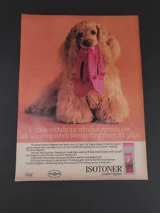 1987 Isotoner Slippers Shoe Women's Fashion PRINT AD cocker spaniel Dog - Picture 1 of 1