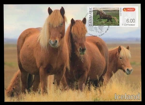 DENMARK 2013 Maximum Card ATM - NORDIA Icelandic horse Islandais caballo fauna - Foto 1 di 1