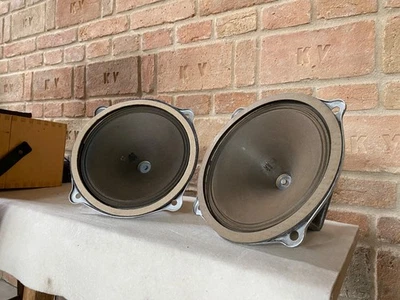 altoparlanti vintage Telefunken field coil 245mm / 10' Tel.Bv.657 - Immagine 1 di 4